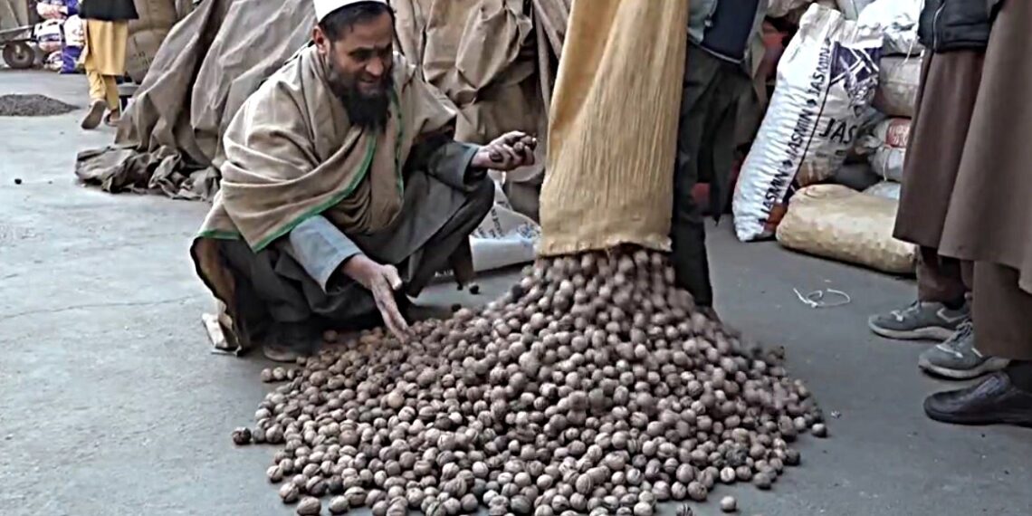 ننګرهار کې د وچو مېوو کاروباریان د خپل کاروبار لپاره د ځانګړي مارکېټ غوښتنه کوي