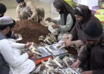 له کندهاره تېرو نهو میاشتو کې د نږدې ۴۰۰ میلیونو ډالرو په ارزښت صادرات شوې