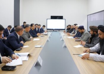 د افغانستان او ازبېکستان چارواکو ناسته کړې