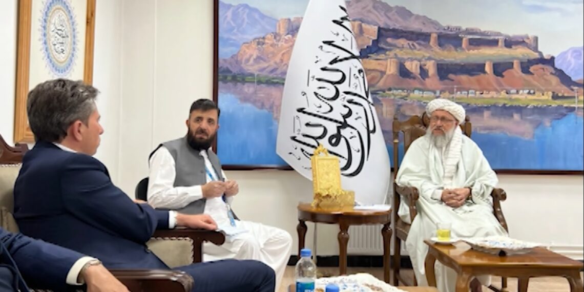 حنفي: له پاکستانه د افغانانو په زور شړلو پر دوه اړخیزه اړیکو منفي اغېز کړی