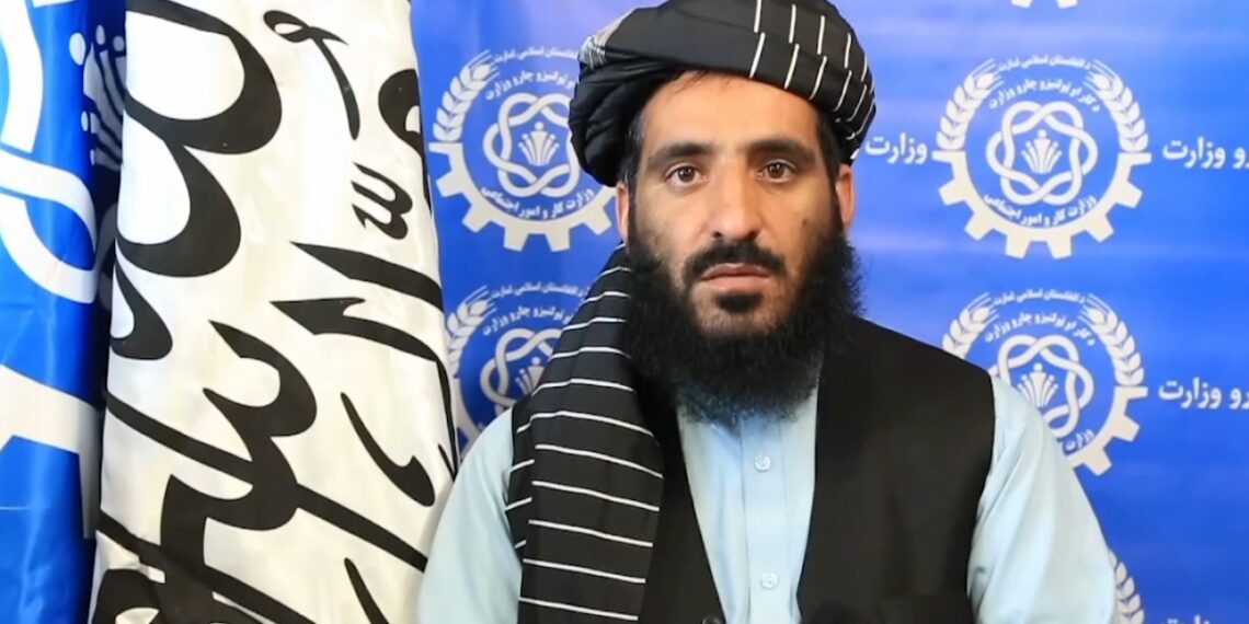 ابراهیمي: تېر کال د کارموندنې لسګونو خصوصي شرکتونو پلټنه شوې