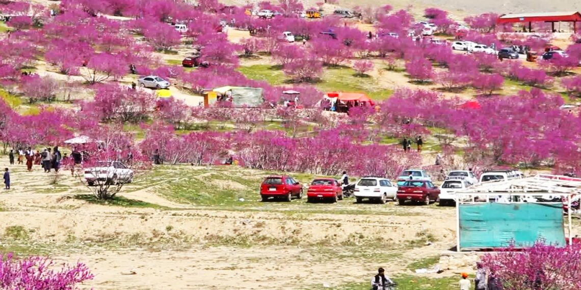 ګل غونډۍ په اختر کې د سلګونه سیلانیانو کوربه وه