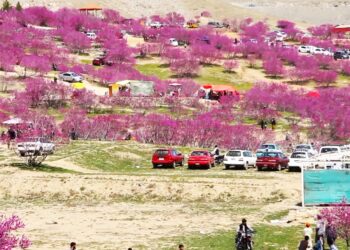 ګل غونډۍ په اختر کې د سلګونه سیلانیانو کوربه وه
