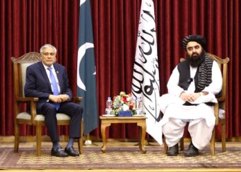 شنونکي: پاکستان باید د اسحاق ډار کړې ژمنې عملي کړي
