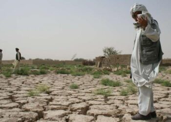 ملګري ملتونه افغانستان کې د وچکالۍ منفي اغېزو کمولو لپاره د ۱۶.۶ میلیونو ډالرو مرسته کوي