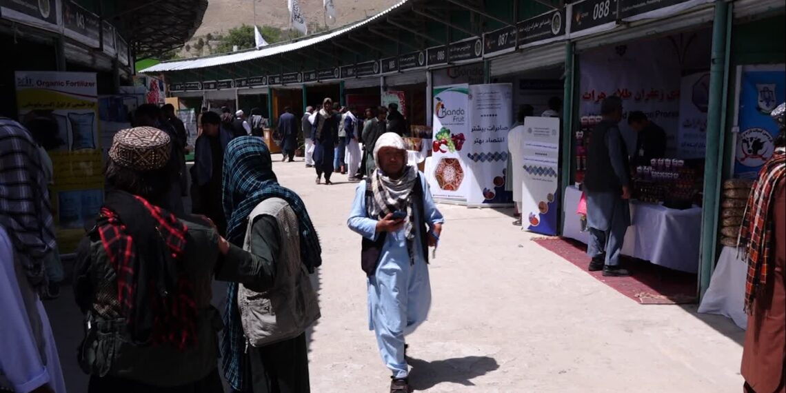 کابل کې د مالدارۍ او کرنیزو محصولاتو له نندارتونزرګونه کسانو لیدنه کړې