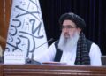 جلالي: د خوړو نړیوال پروګرام له لوري زرګونه ټنه راوړل شوې خوراکي توکي بې‌کيفيته دي