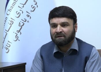 د سوداګرۍ او پانګونې خونه: افغانانو ته د وېزو ورکولو سره به د هند او افغانستان سوداګرۍ لا ډېره شي
