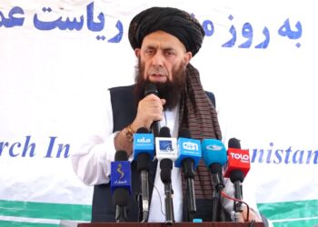 کرنې وزارت: غواړو افغانستان د کرنې او مالدارۍ له پلوه پرځان بسیا کړو