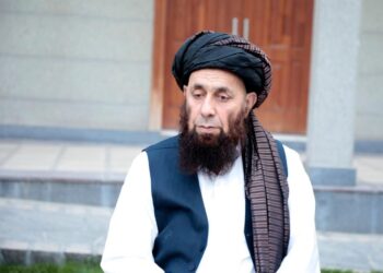عثماني: د غنمو توليد برخه کې ځان بسیاینې ته نږدې شوې یو