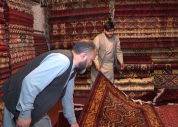 د صنعت او سوداګرۍ وزارت: تېر کال د شاوخوا ۱۵ میلیونو ډالرو په ارزښت غالۍ بهر ته صادرې شوې
