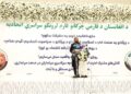 د چرګانو فارم لرونکو ټولنه: د بازار د اړتیا وړ۵۰ سلنه  چرګ غوښه او هګۍ په کوردننه تولیدېږي