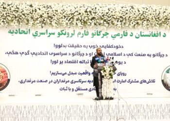 د چرګانو فارم لرونکو ټولنه: د بازار د اړتیا وړ۵۰ سلنه  چرګ غوښه او هګۍ په کوردننه تولیدېږي