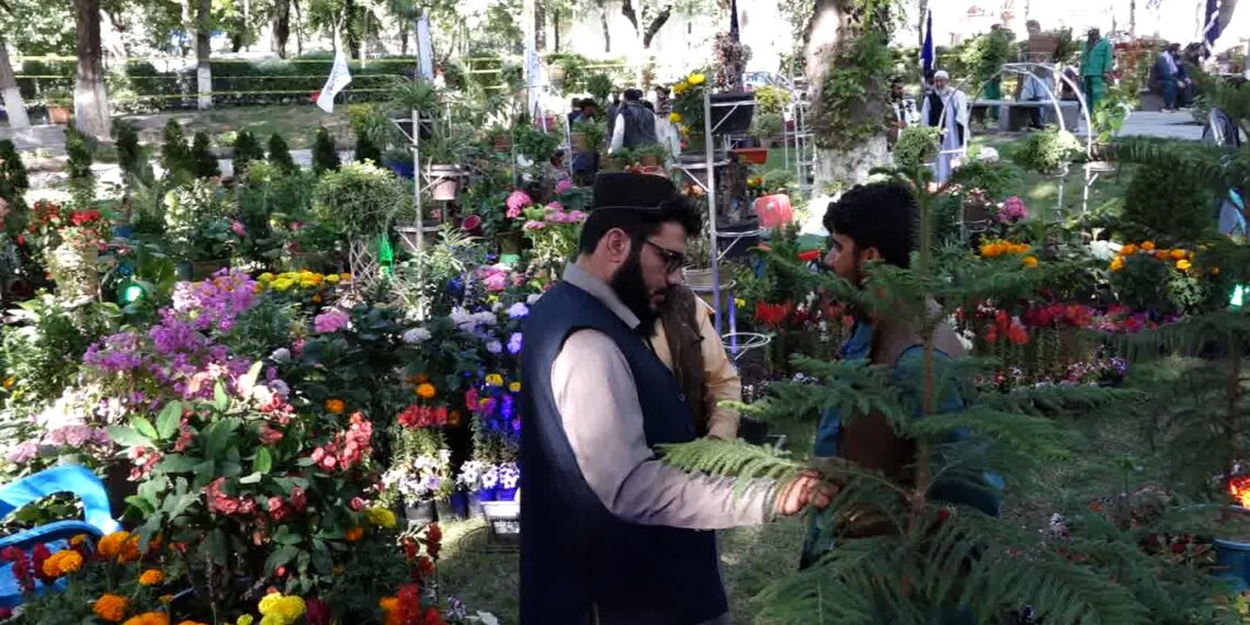 کابل کې د ګلانو درې ورځنی نندارتون پرانیستل شوی