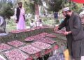 کندهار کې د توتانو مېله؛ یو شمېر کسانو ته د عاید سرچینه برابره شوې