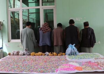 بلخ کې  له ۶۰۰ ډېر کسان د نشه يي توکو کاروبار په تور نیول شوي