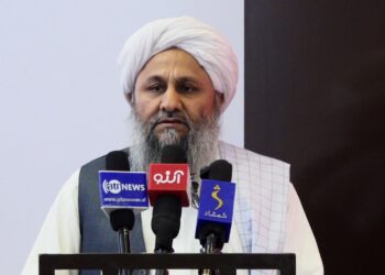 نجیب الله حقاني: هېواد کې لاهم مخابراتي خدمتونه معیاري نه دي