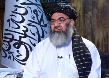 غزنوي: د اسلامي امارت له راتګ سره پاکستان ته د اغزن سیم غځولو اجازه نه ده وکړل شوې