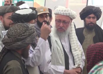 حنفي: ګاونډي هېوادونه دې د افغانانو ایسارې کړې شتمنۍ بېرته ورکړي