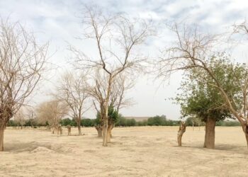 د هلمند ځينو ولسوالیو اوسېدونکي: پرله پسې وچکالیو له خپلو سيمو کډه کولو ته اړ کړي یو