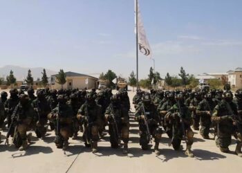 بلخ کې له الفتح قول اردو شاوخوا ۸۰۰ سرتېري فارغ شول