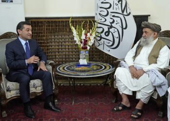 د سرپرست حکومت چارواکو د افغان – ټرانس پروژه کې شریکو هېوادونو ته د همکارۍ ډاډ ورکړ