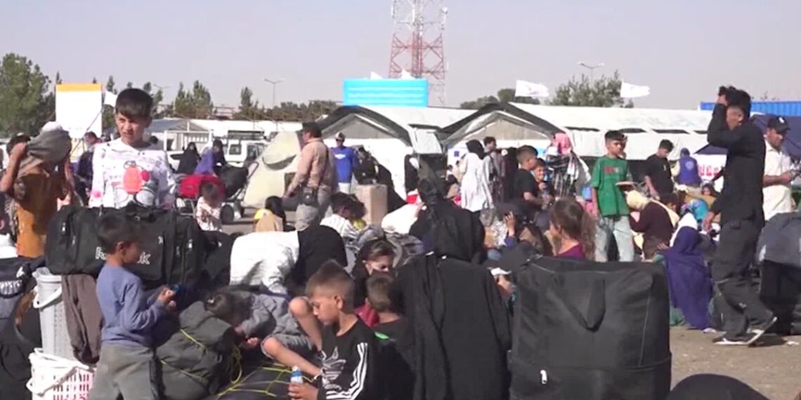 د بښنې نړیوال سازمان له ایرانه دافغان کډوالو جبري ایستلو لړۍ غندلې