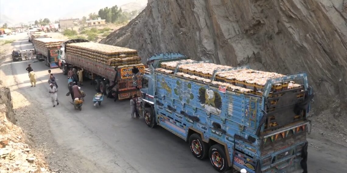 موټرچلوونکي: پاکستان یوځل بیا تورخم کې په افغان مېوو بار لارۍ درولې دي