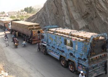 موټرچلوونکي: پاکستان یوځل بیا تورخم کې په افغان مېوو بار لارۍ درولې دي