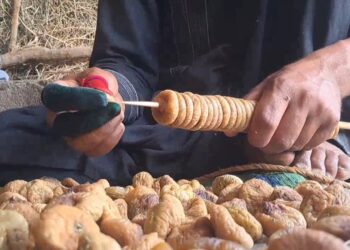 د کندهار د انځرو باغ لرونکي د خپلو حاصلاتو لپاره د بازارغوښتنه کوي