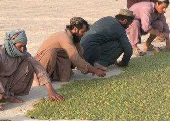 کندهار کې د ابجوشو بیې ټيټې شوې