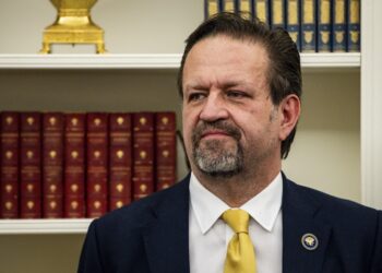 امریکا د ترهګرۍ په ضد مبارزه کې د افغانستان حکومت خپل شریک بللی