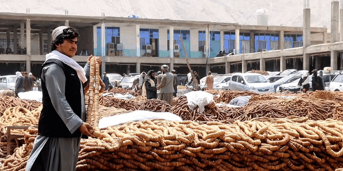 کندهار کروندګر او سوداګر: د واګې بندر تړل کېدو له مالي زیانونو سره مخ کړي