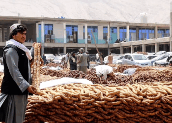 کندهار کروندګر او سوداګر: د واګې بندر تړل کېدو له مالي زیانونو سره مخ کړي