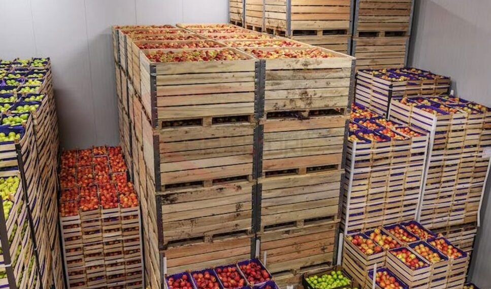 حکومت د سړو خونو جوړوونکو پانګوالو ته ۵ کاله مالیه معاف کړه