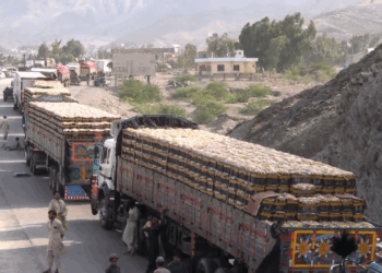 تورخم کې د افغان لاریو پر وړاندې شته خنډونو سوداګرو ته میلیونونه ډالر زیان اړولی
