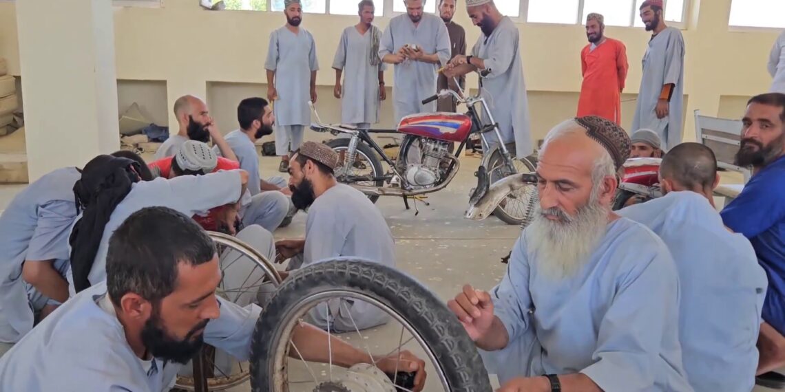 چارواکي: روان کال هلمند کې د ۷۰۰ روږدو کسانو درملنه او روزنه شوې