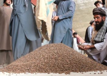 د سوداګرو شکایت: د افغانستان جلغوزي له چین پرته نورو نړیوالو مارکېټونو ته لار نه لري