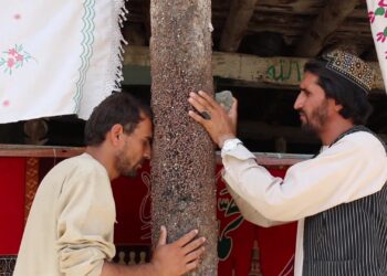 زیارتونو ته د خلکو ورتګ؛ فرهنګیان یې دود خو عالمان یې بدعت بولي