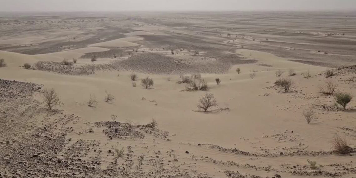 د چاپېریال ساتنې ملي اداره: وچکالي هر کال افغانستان ته ۳ سوه میلیون ډالره زيان رسوي