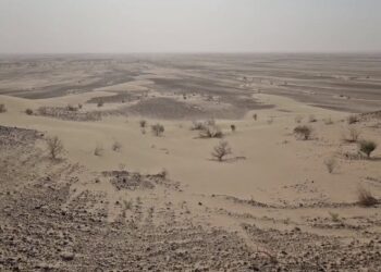 د چاپېریال ساتنې ملي اداره: وچکالي هر کال افغانستان ته ۳ سوه میلیون ډالره زيان رسوي