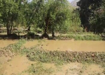 کاپيسا کې تېز ورښت او سېلابونو خلکو ته مالي زیانونه اړولي