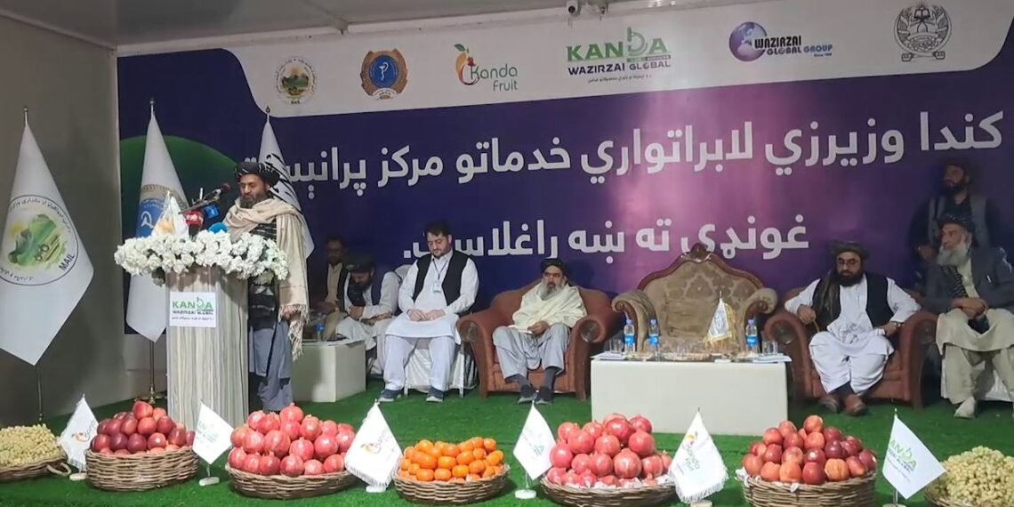 کندهار کې د لومړي ځل لپاره د کرنیزو محصولاتو د کیفیت معلومولو لابراتوار جوړ شو