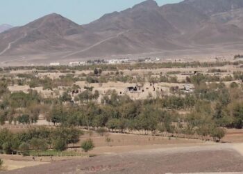 د هرات د شین ډنډ ولسوالۍ ۹۰ سلنه خلک د څښاک اوبه نه لري