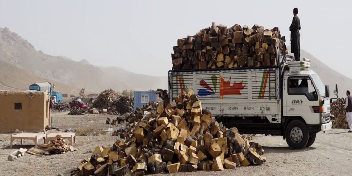 د کابل ښاریانو شکايت: د تېر کال په پرتله د سون توکو بيې لوړې شوې