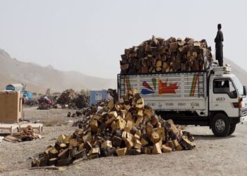 د کابل ښاریانو شکايت: د تېر کال په پرتله د سون توکو بيې لوړې شوې