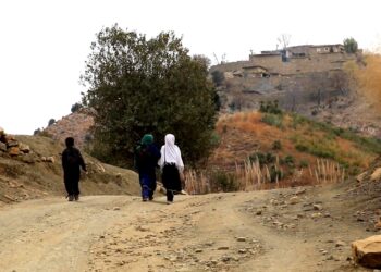 د خوست ځاځي میدان خلک له حکومت د بیارغونې، روغتیا او پوهنې پروژې غواړي