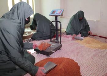 د صنعت خونه: هرات کې له زرو زیاتې ښځې په سوداګریزو او صنعتي برخو کې فعالیت کوي