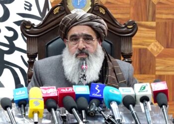 د عامې روغتیا وزیر هند ته خپل سفر له لاسته راوړنو ډک وباله