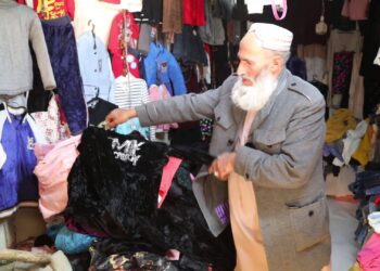 د بېکارۍ او اقتصادي ځوړ اغېزې؛ هرات کې د لیلامي توکو بازار تود شوی